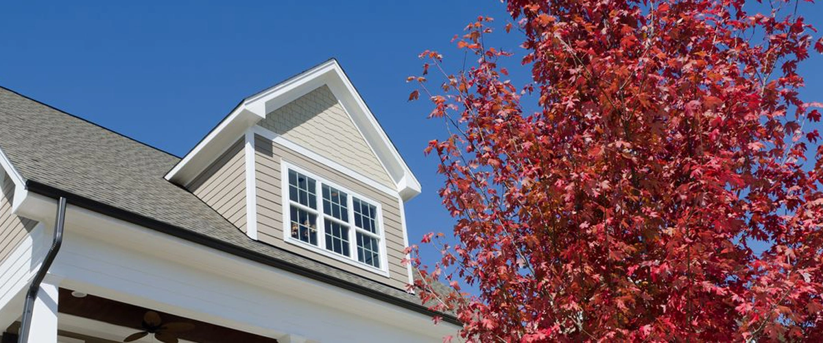 Roof Repair in Papillion, NE