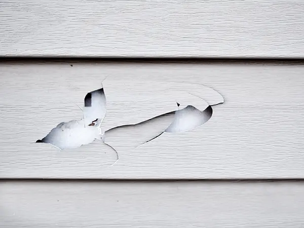 Damaged siding replacement - Carp's Complete Exterior