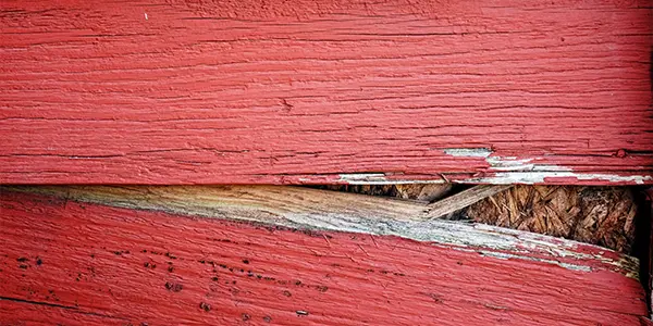 Siding replacement for rot & decay - Carp's Complete Exterior