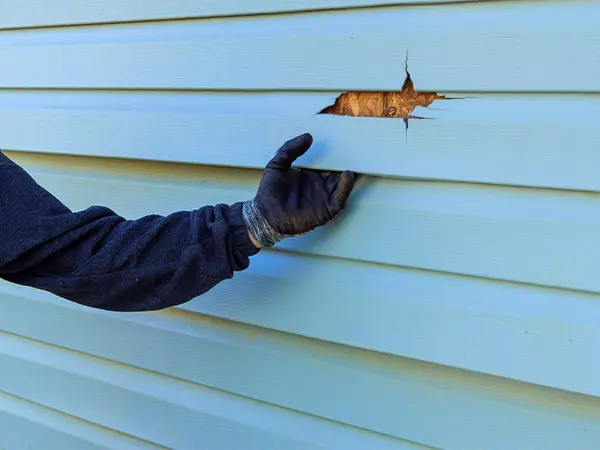 Structural damage siding - Carp's Complete Exterior